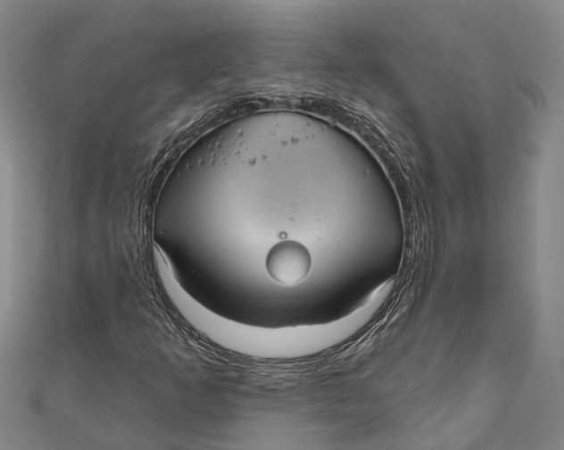 X0000111001253200907101444