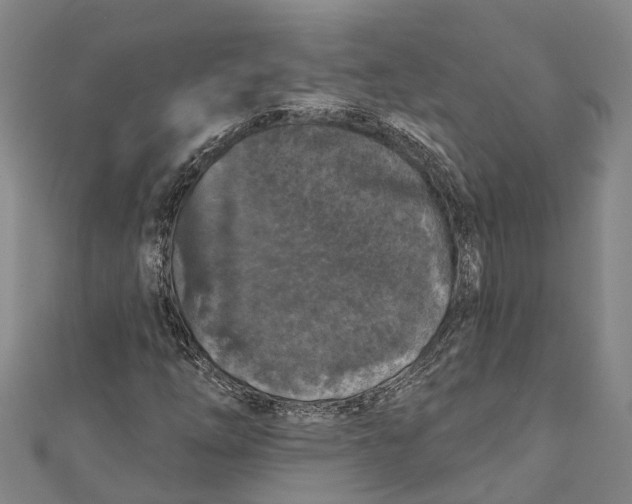 X0000111001254200907101444