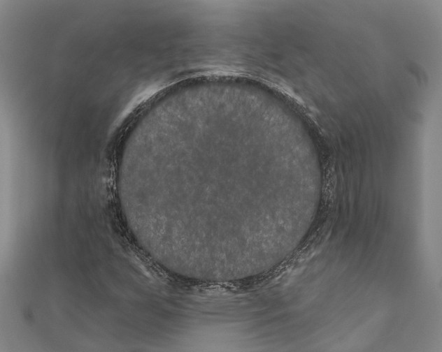 X0000111001255200907101444