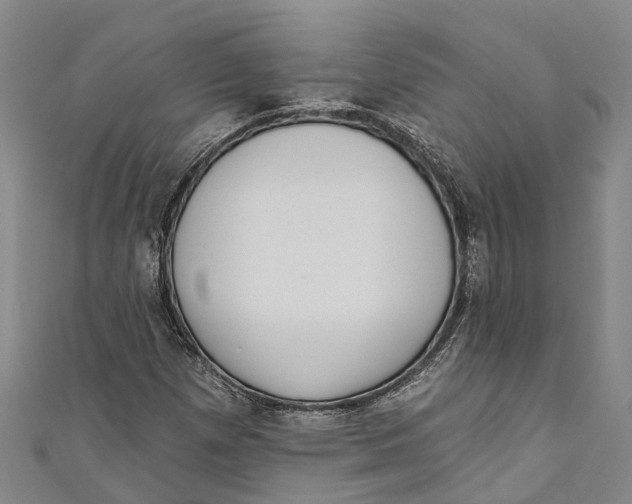 X0000111001257200907101444