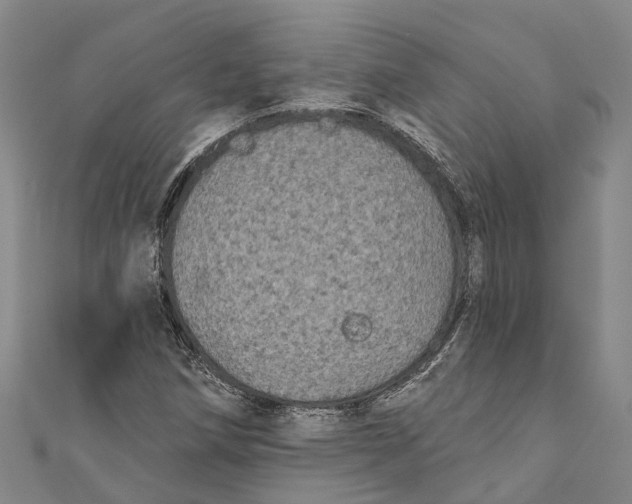 X0000111001258200907101444