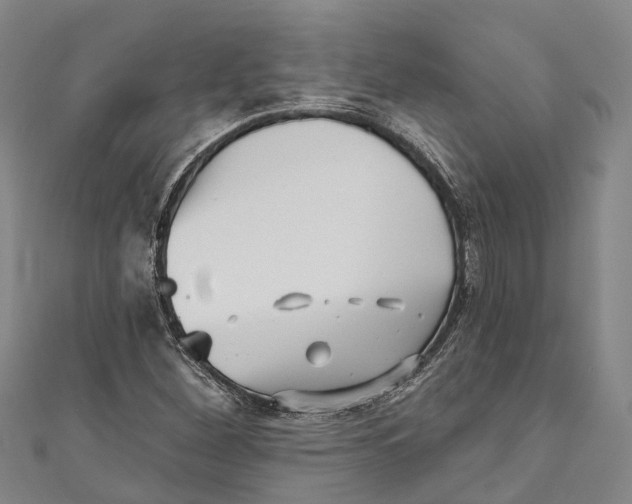 X0000111001260200907101444