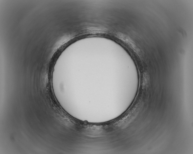 X0000111001261200907101444