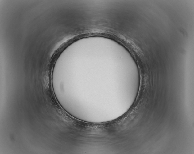 X0000111001262200907101444