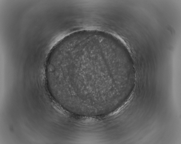 X0000111001263200907101444