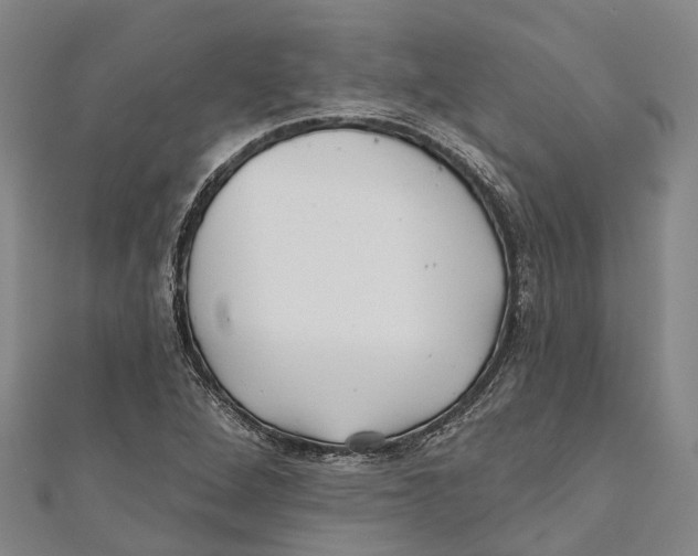 X0000111001264200907101444