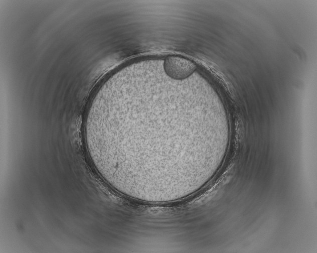 X0000111001265200907101444