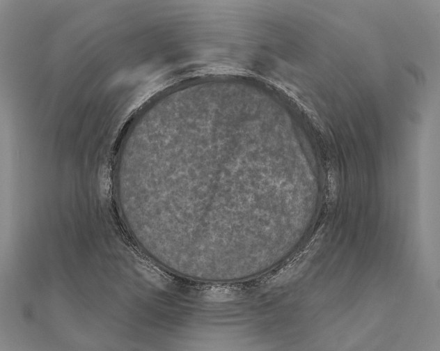 X0000111001266200907101444