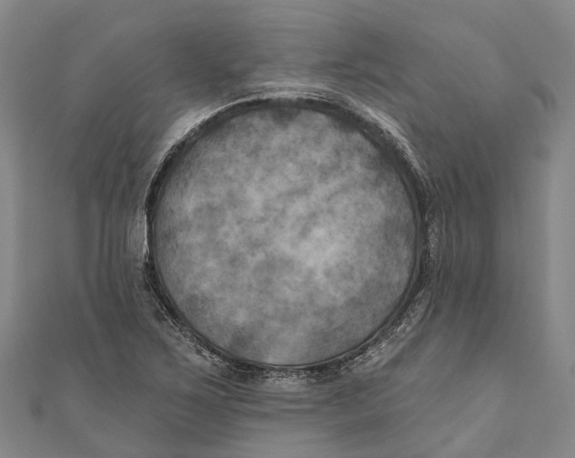 X0000111001267200907101444