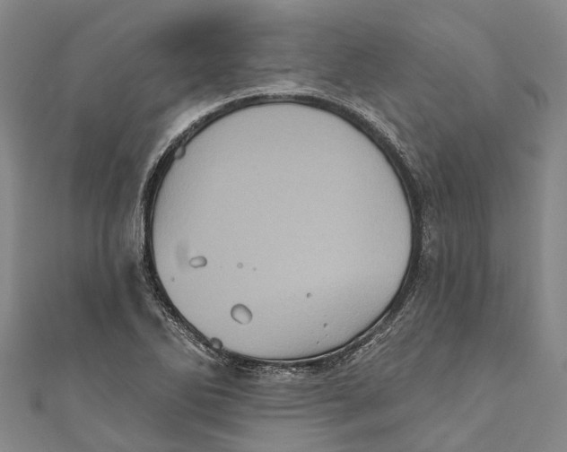 X0000111001270200907101444