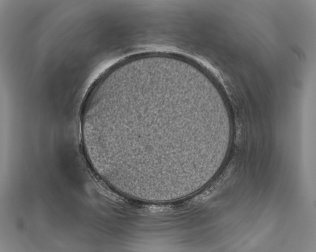 X0000111001271200907101444