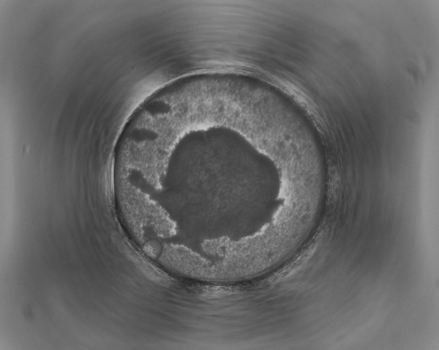 X0000111001275200907101444