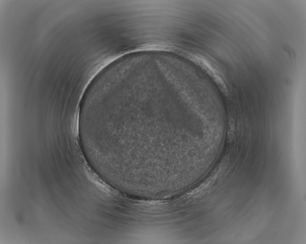 X0000111001276200907101444