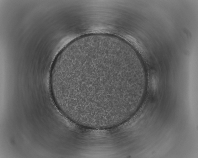 X0000111001277200907101444