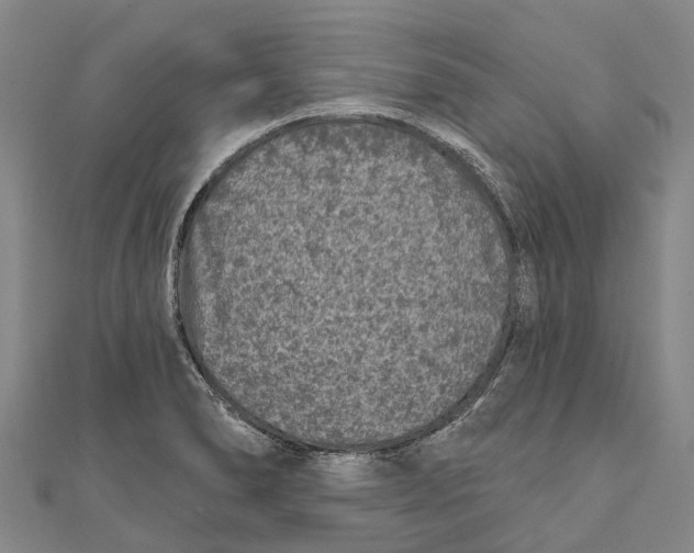 X0000111001278200907101444