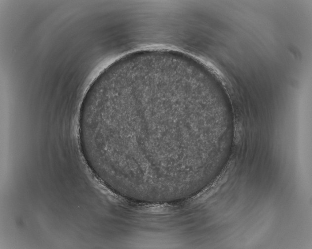 X0000111001279200907101444