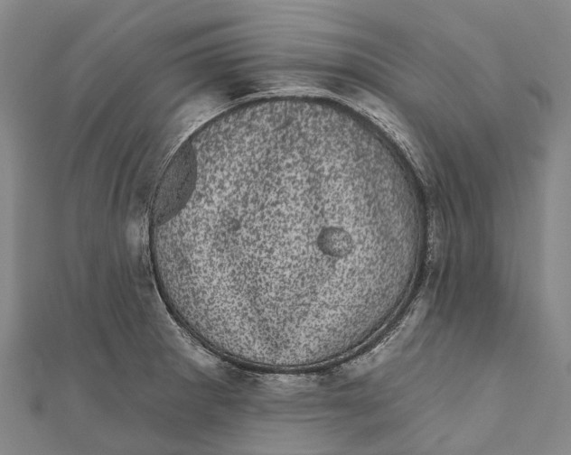 X0000111001281200907101444