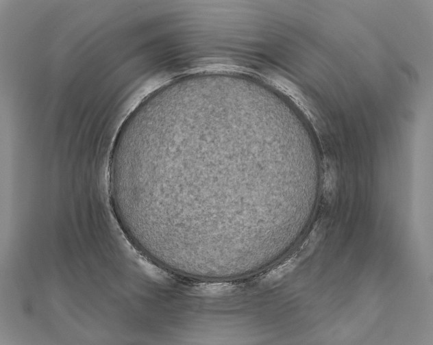 X0000111001282200907101444