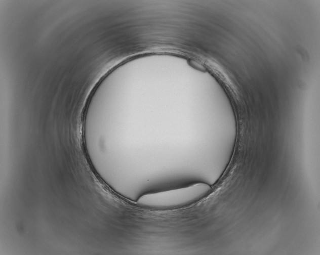 X0000111001284200907101444