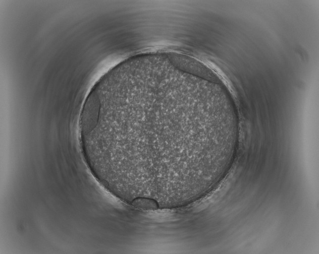 X0000111001285200907101444