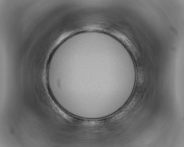 X0000111001286200907101444