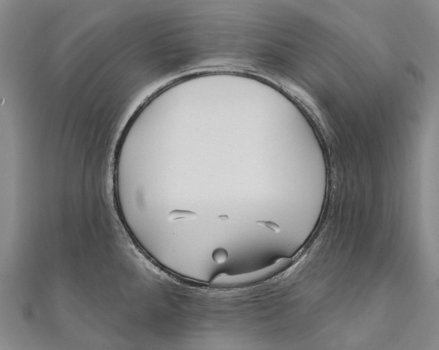 X0000111001288200907101444