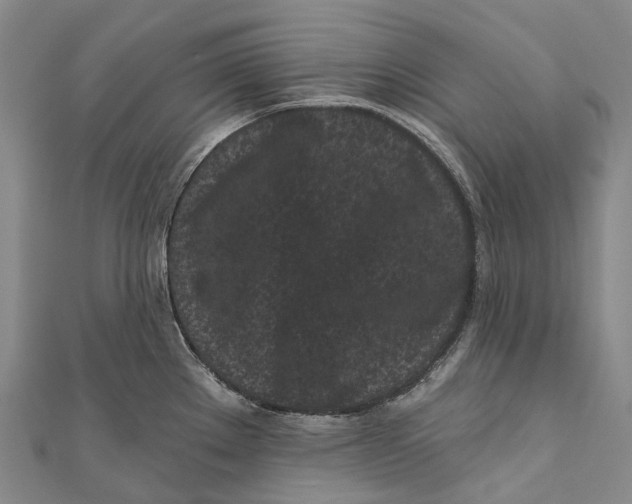 X0000111001289200907101444