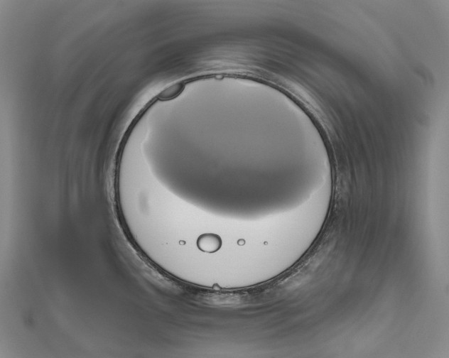 X0000111001291200907101444