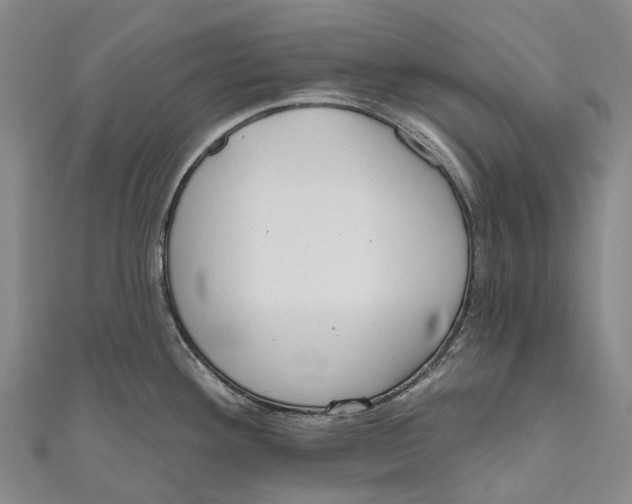 X0000111001292200907101444