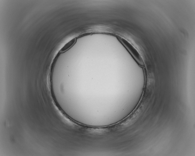 X0000111001293200907101444