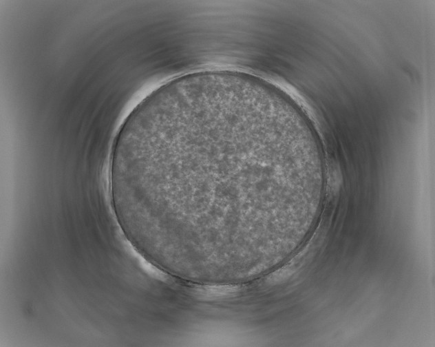 X0000111001294200907101444