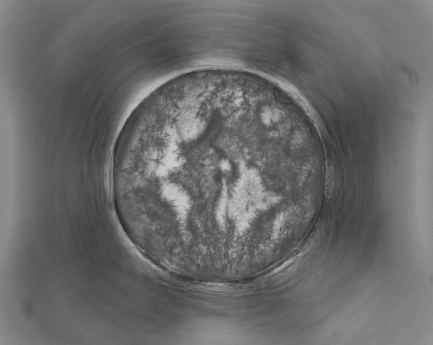 X0000111001295200907101444