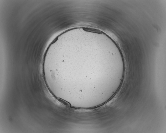 X0000111001296200907101444