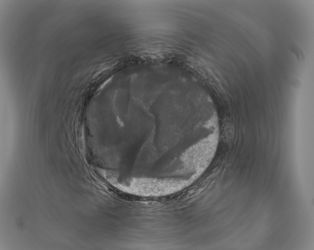 X0000111001297200907101443