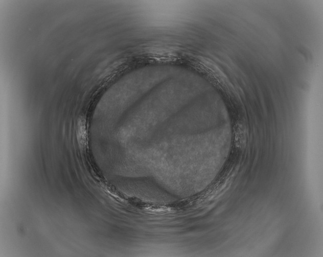 X0000111001298200907101443