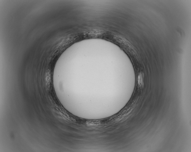 X0000111001299200907101443