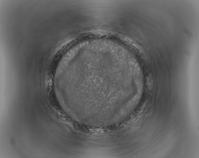 X0000111001302200907101443