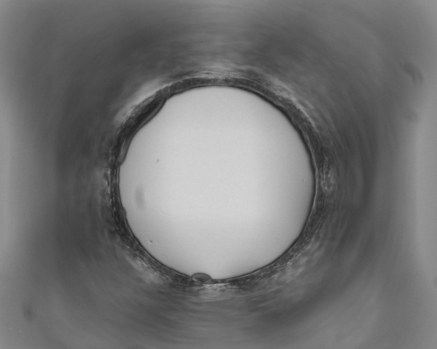 X0000111001304200907101443