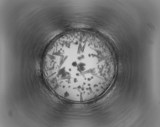 X0000111001305200907101443