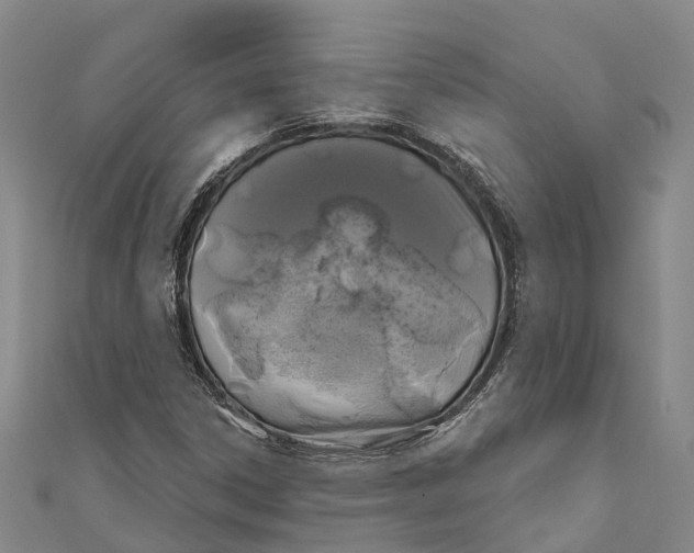 X0000111001306200907101443