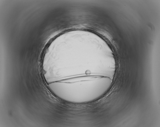 X0000111001308200907101443