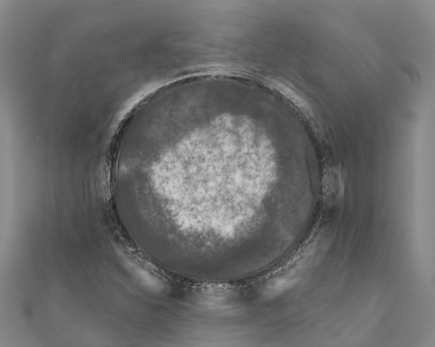 X0000111001310200907101443