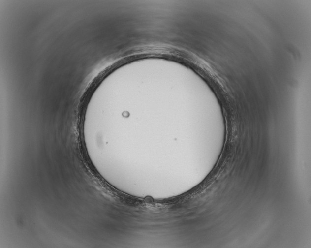 X0000111001312200907101443