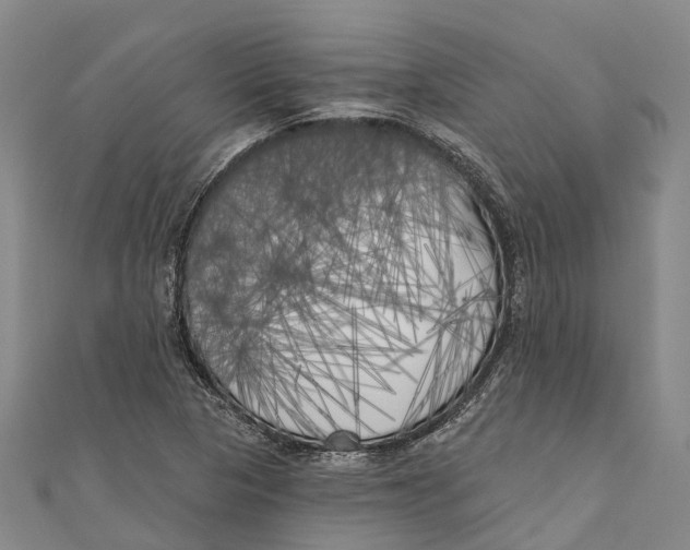 X0000111001313200907101443