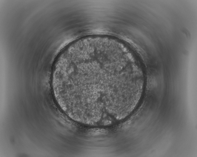 X0000111001314200907101443