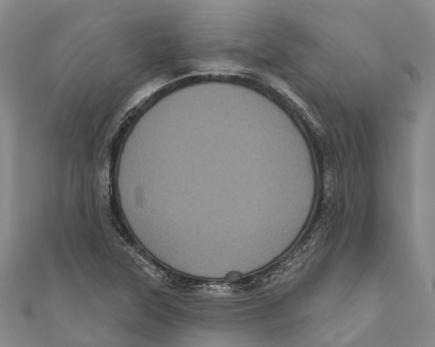 X0000111001315200907101443