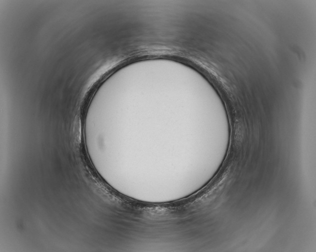 X0000111001317200907101443