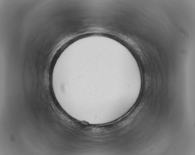 X0000111001318200907101443