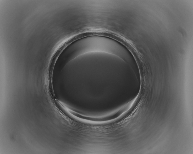 X0000111001319200907101443