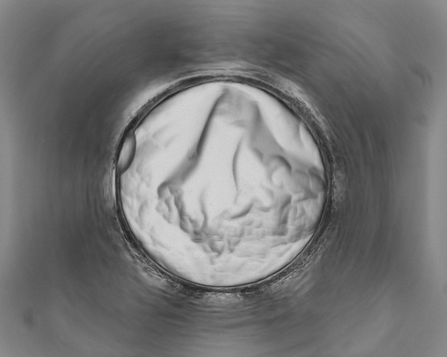 X0000111001320200907101443